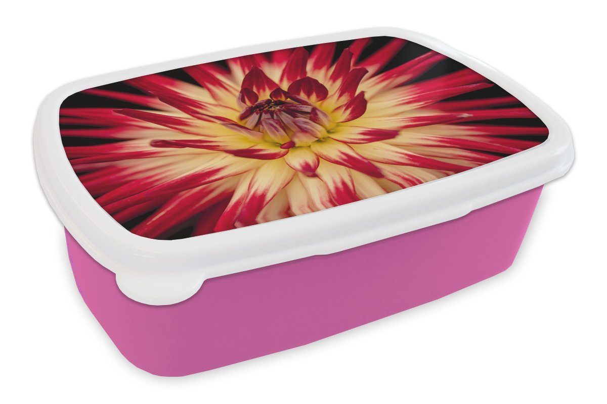 MuchoWow Lunchbox Blumen - Natur - Makro, Kunststoff, (2-tlg), Brotbox für Erwachsene, Brotdose Kinder, Snackbox, Mädchen, Kunststoff rosa