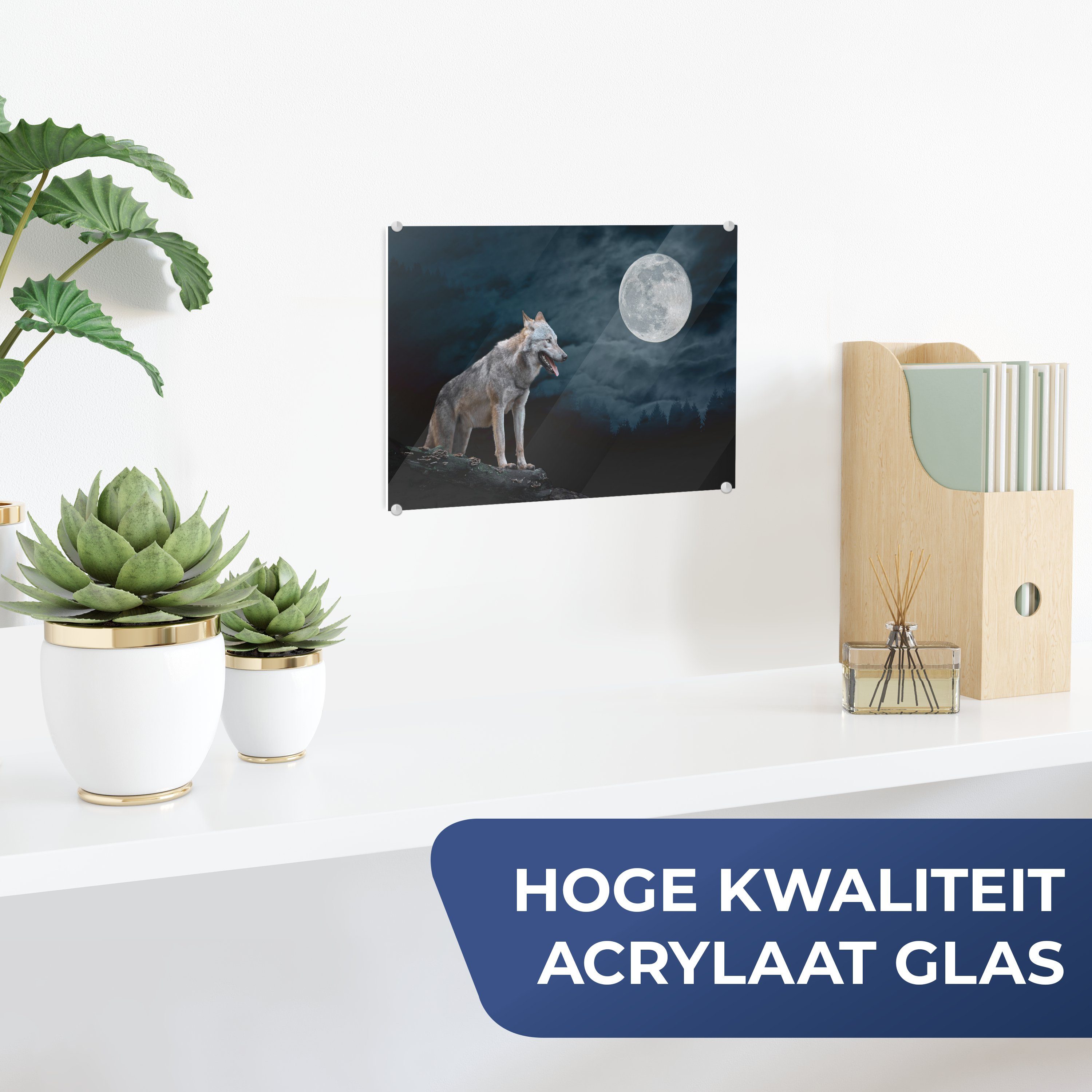 MuchoWow Acrylglasbild Wolf - Mond - günstig online kaufen