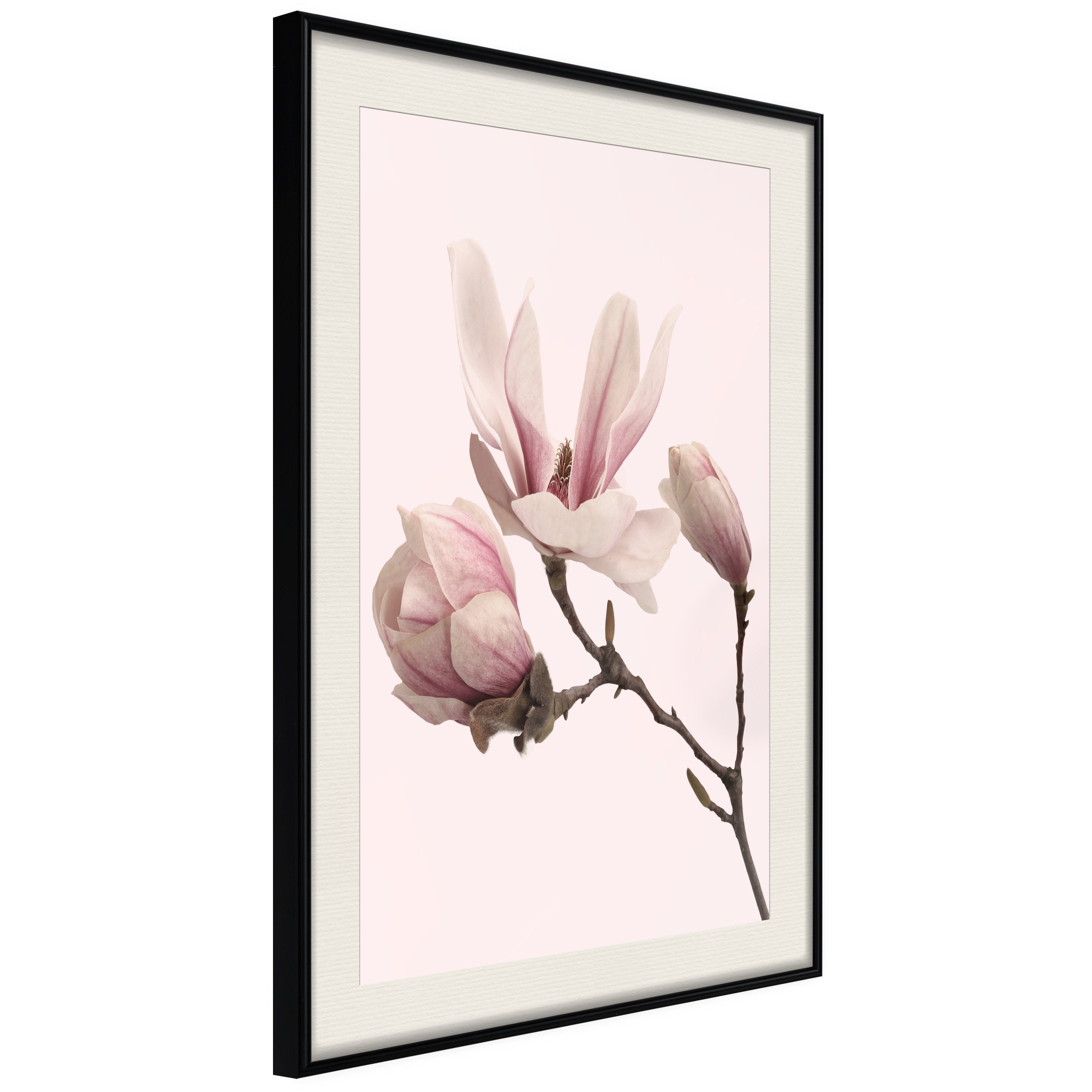 Artgeist Poster Blooming Flowers