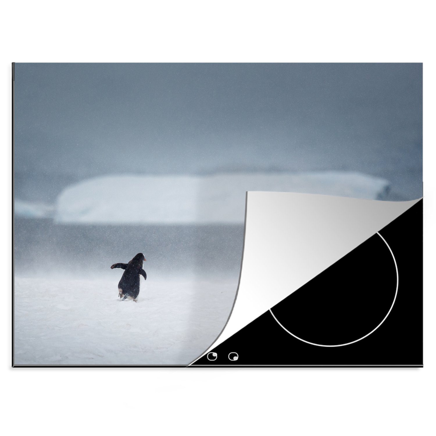 Pinguin der nutzbar, Ceranfeldabdeckung tlg), MuchoWow Mobile cm, Vinyl, Schnee Antarktis, in im wandert Arbeitsfläche Herdblende-/Abdeckplatte 70x52 (1