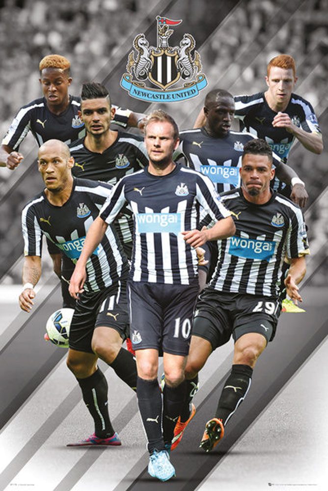 Poster Fußball - Poster - Newcastle United - Players 14/15