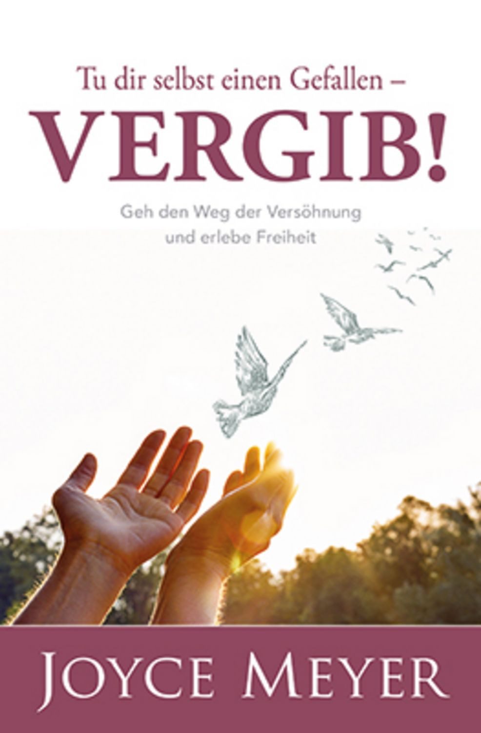Tu dir selbst einen Gefallen - vergib! / Joyce Meyer