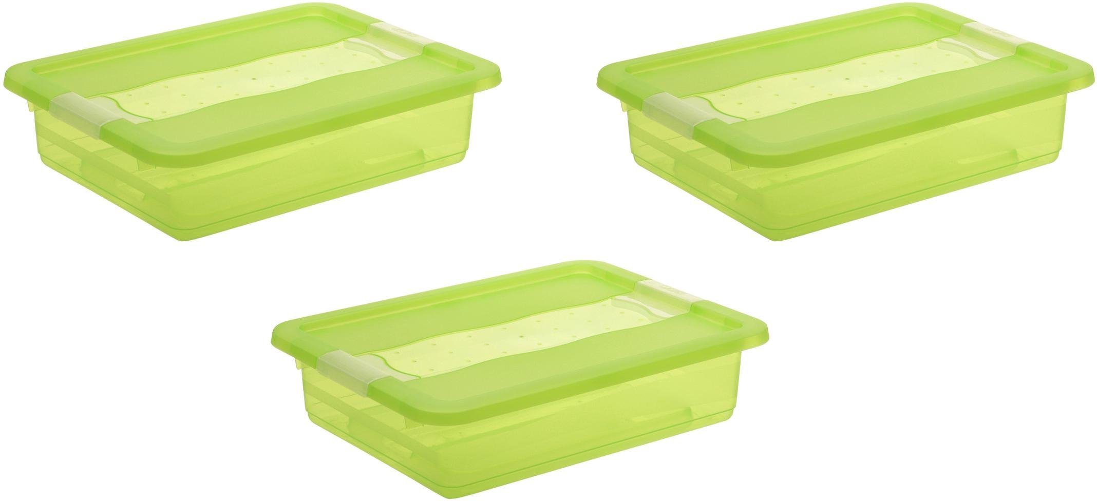 Aufbewahrungsbox mit Deckel, 39,5 x 29,5 x 9,5 cm, 7 Liter, 3er Set, »cornelia« Aufbewahrungsbox mit Deckel, 39,5 x 29,5 x 9,5 cm, 7 Liter, 3er Set, »cornelia«