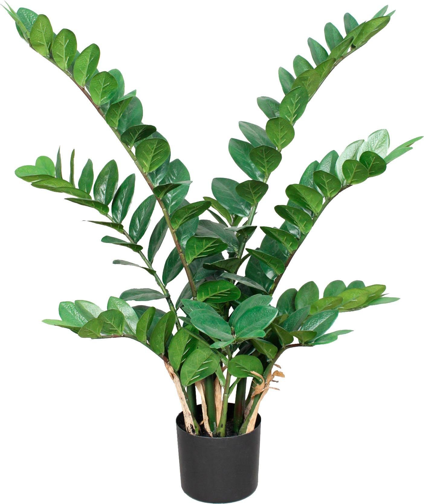 Künstliche Zimmerpflanze Höhe 80 cm online kaufen OTTO