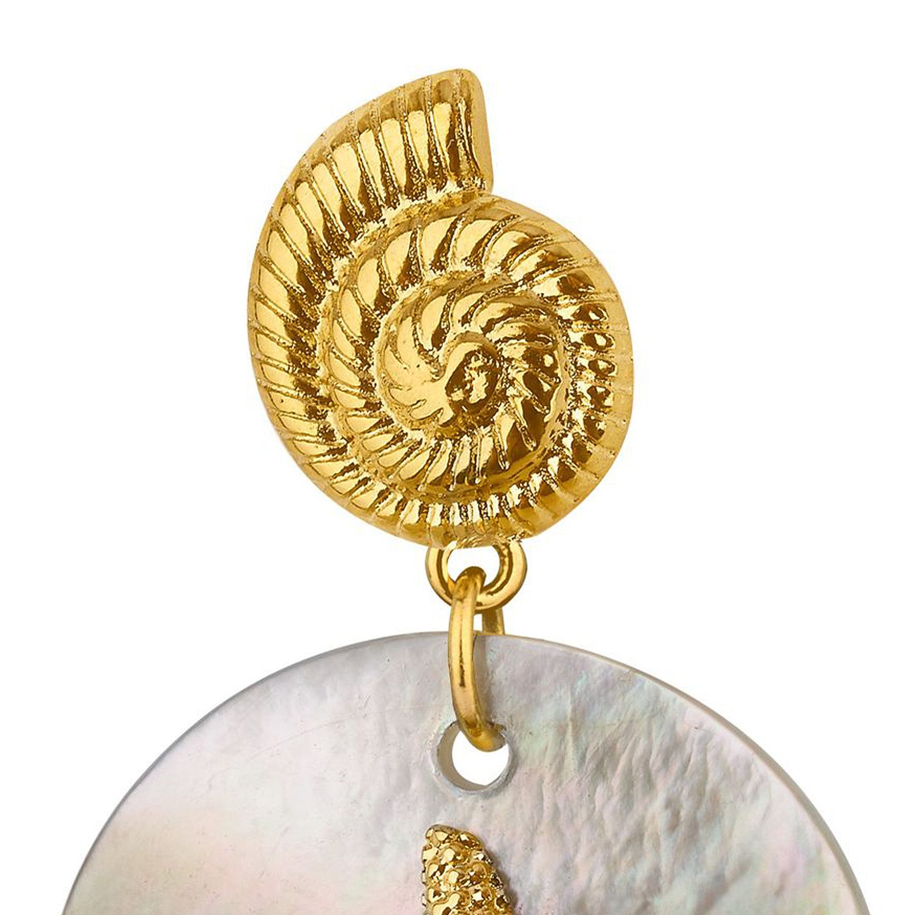 ANELY Paar Ohrhänger Glänzende Anhänger mit Seestern und Muschelstruktur (modisch, 2-tlg., Casualmode), 9057 in Gold