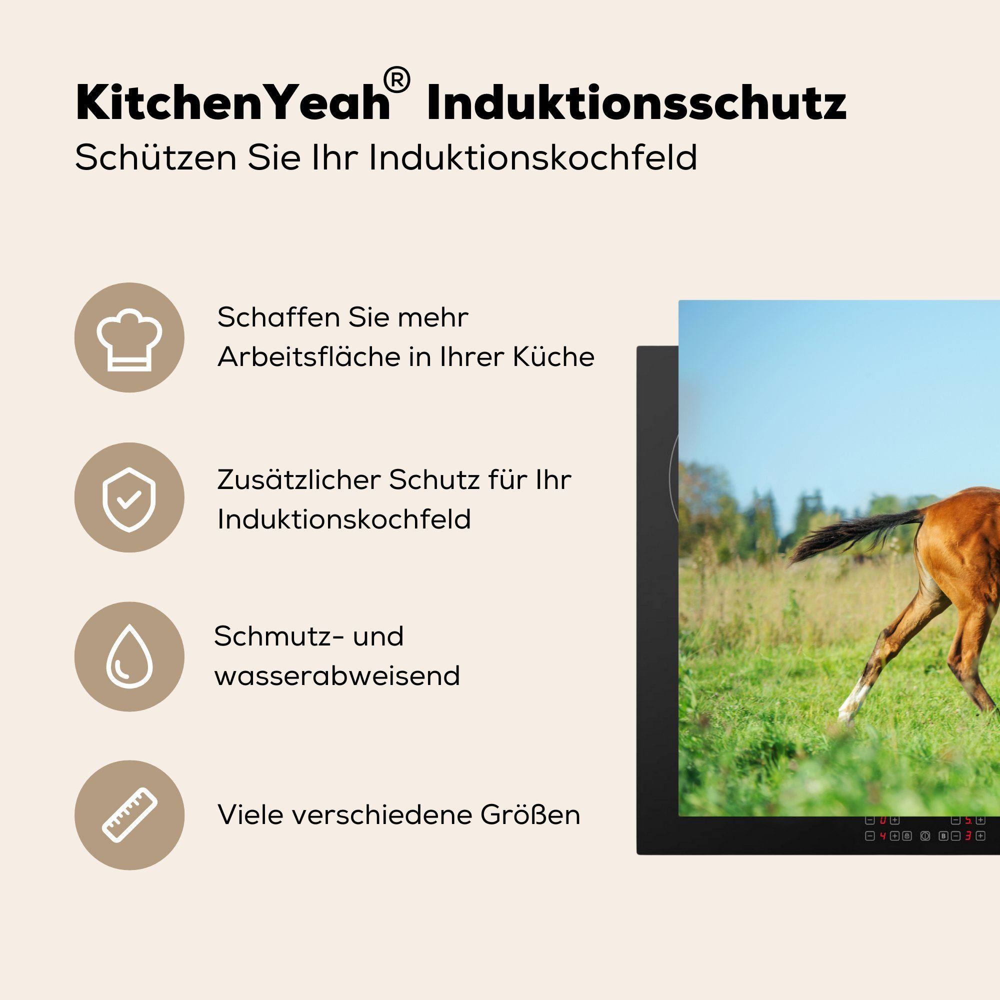 cm, Induktionskochfeld Ceranfeldabdeckung küche, (1 Braun, 81x52 für die - Schutz Vinyl, MuchoWow Herdblende-/Abdeckplatte - tlg), Gras Pferd