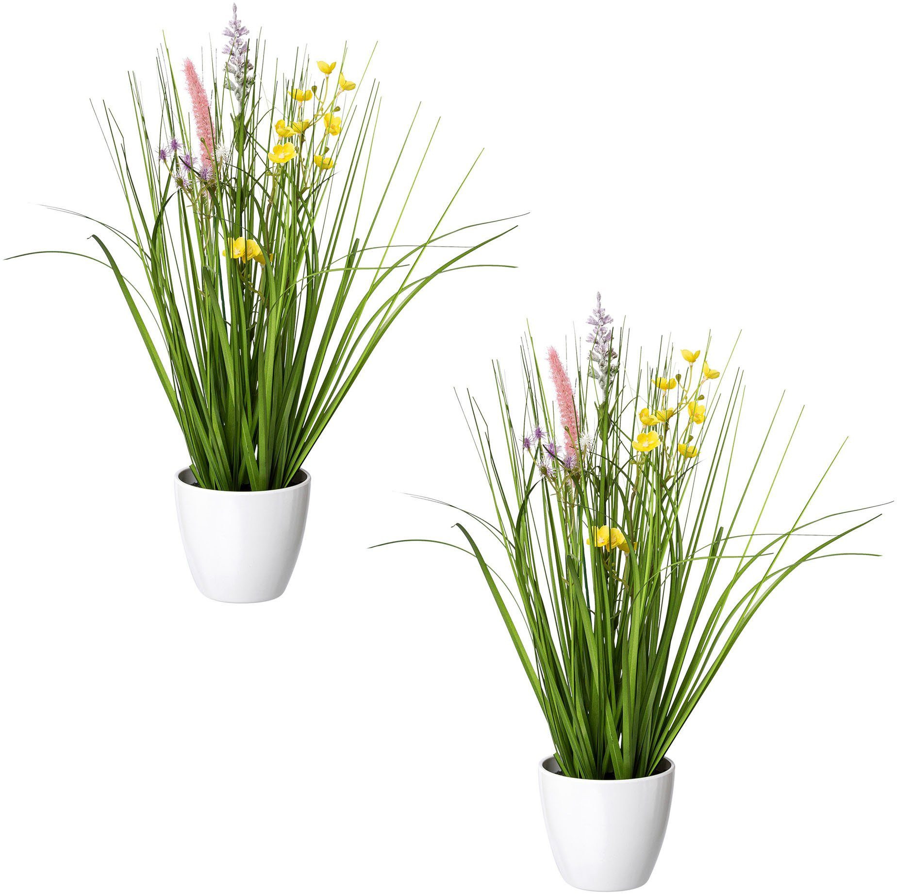 Kunstgras Blüten-Gras-Mix, Creativ green, Höhe 41 cm, in weißer Kunststoffschale bunt | Kunstgräser