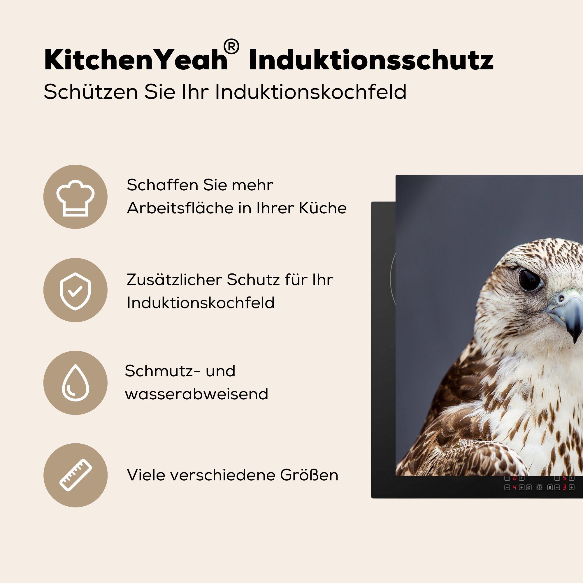 - 78x78 küche Vinyl, Herdblende-/Abdeckplatte Vogel für Federn, cm, MuchoWow (1 Ceranfeldabdeckung, tlg), - Arbeitsplatte Falke