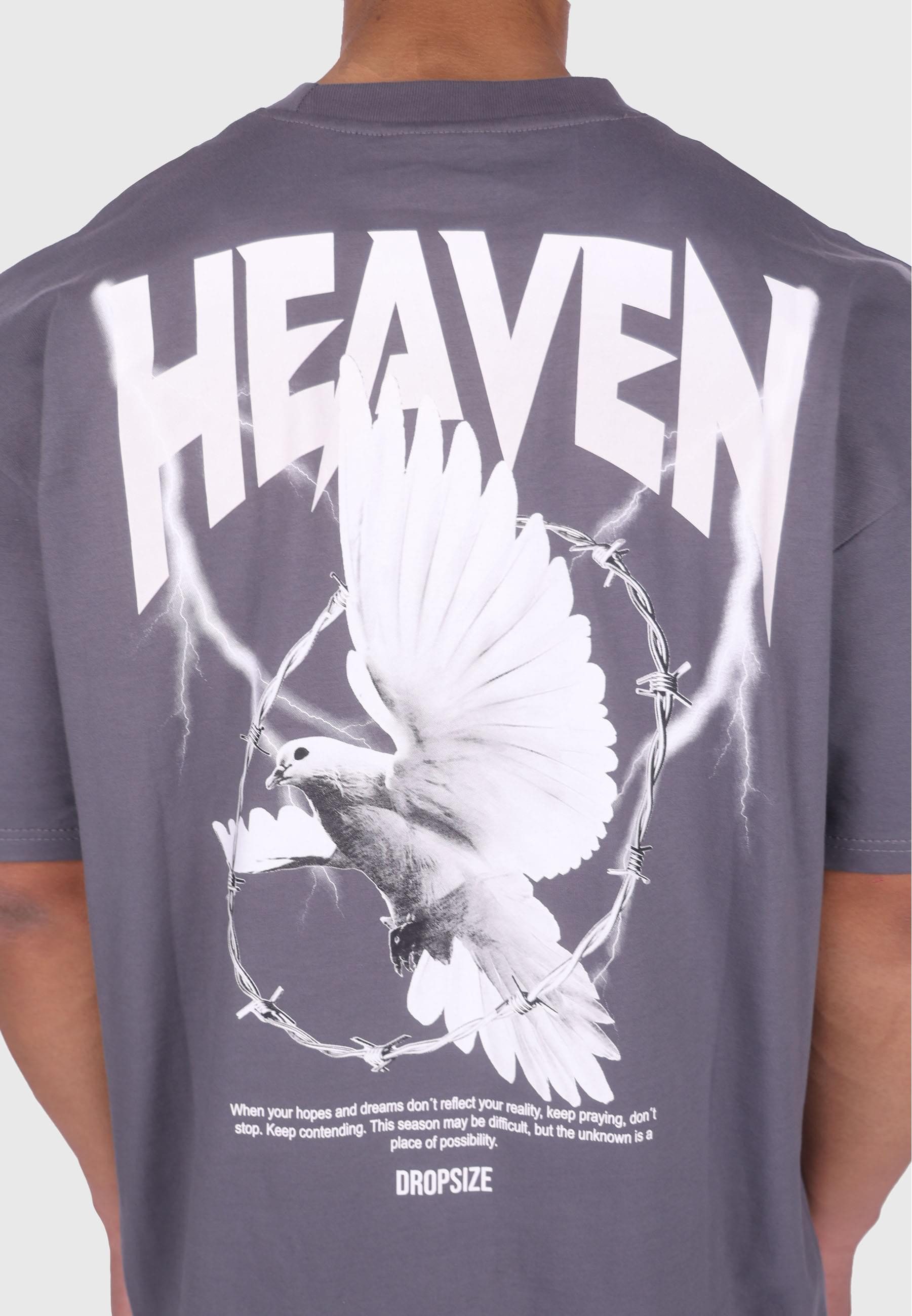 Dropsize T-Shirt Dropsize HEAVY OVERSIZED HEAVEN DOVE T-SHIRT (1-tlg)