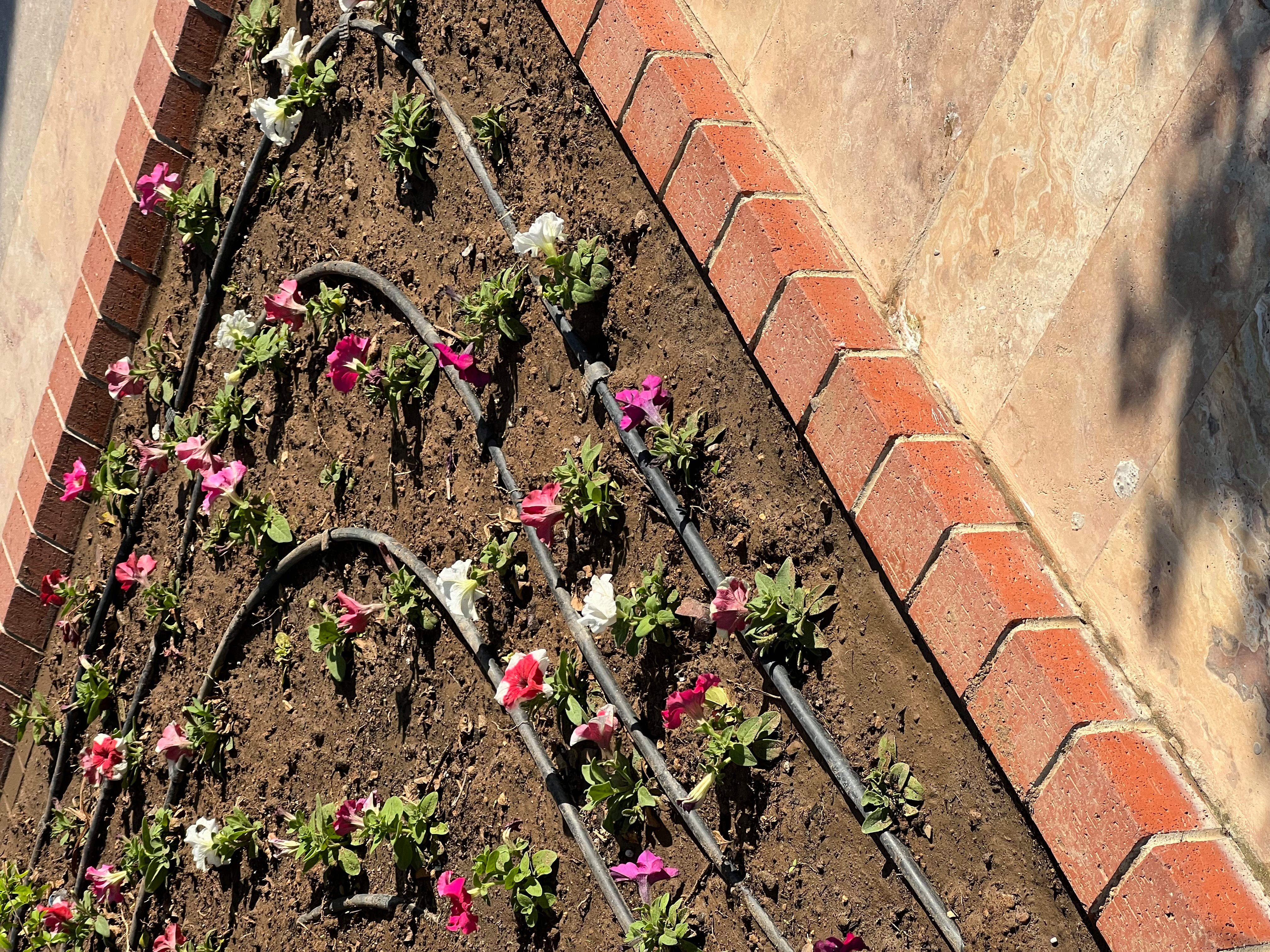 Uzman Tropfschlauch Tropfschlauch Perlschlauch Garten Bewässerung 100 Meter, (36 Teilig. Erdhaken - Eckverbinder 90° - Geradeverbinder - Schlauchstopfer - T-Form - Auslaufhahn), UV-Beständig