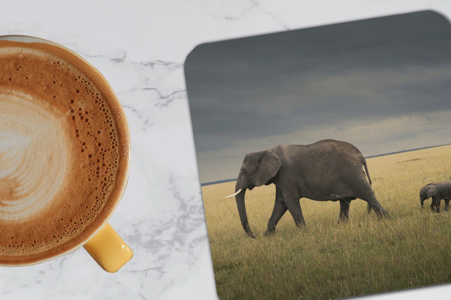 Savanne - - Elefant Korkuntersetzer, Glasuntersetzer, Tasse für Glasuntersetzer Tiere MuchoWow Zubehör 6-tlg., - Gläser, Natur, Untersetzer, Tischuntersetzer,
