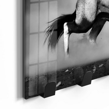 DEQORI Kleiderhaken 'Aggressive Oryxantilopen', Glas Garderobe Paneel magnetisch beschreibbar