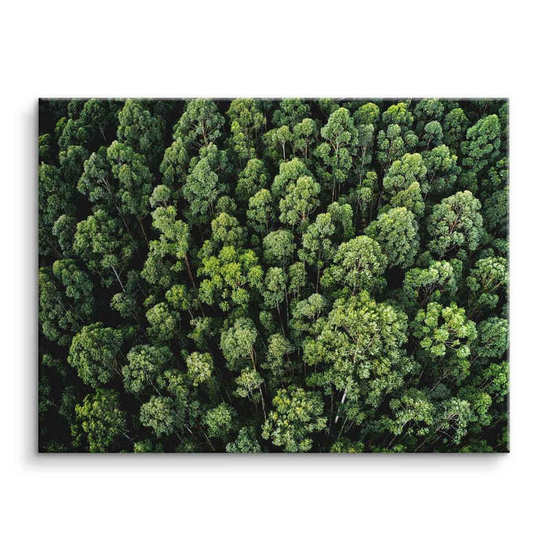 ArtMind XXL-Wandbild Top view Forest, Premium Wandbilder als Poster & gerahmte Leinwand in verschiedenen Größen, Wall Art, Bild, Canvas