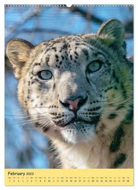 CALVENDO Wandkalender Big Cats2 (Premium-Calendar 2023 DIN A2 Portrait)