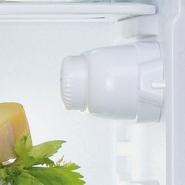 IGNIS Einbaukühlschrank ARL 12VS2, 122,5 cm hoch, 54 cm breit, 4 Türfächer, 1 Obst- und Gemüseschublade, 5 Ablagen