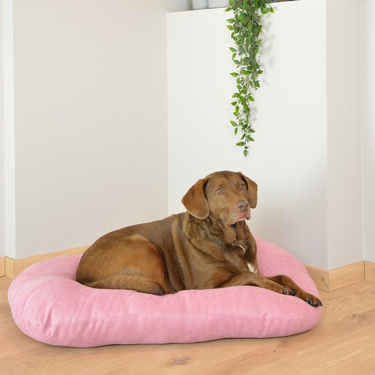DUVO+ Tierkissen Hundekissen oval Velvet rosa