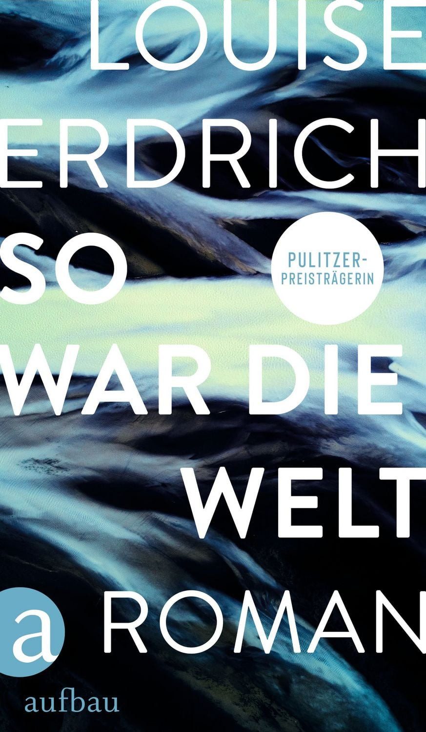 So war die Welt / Louise Erdrich