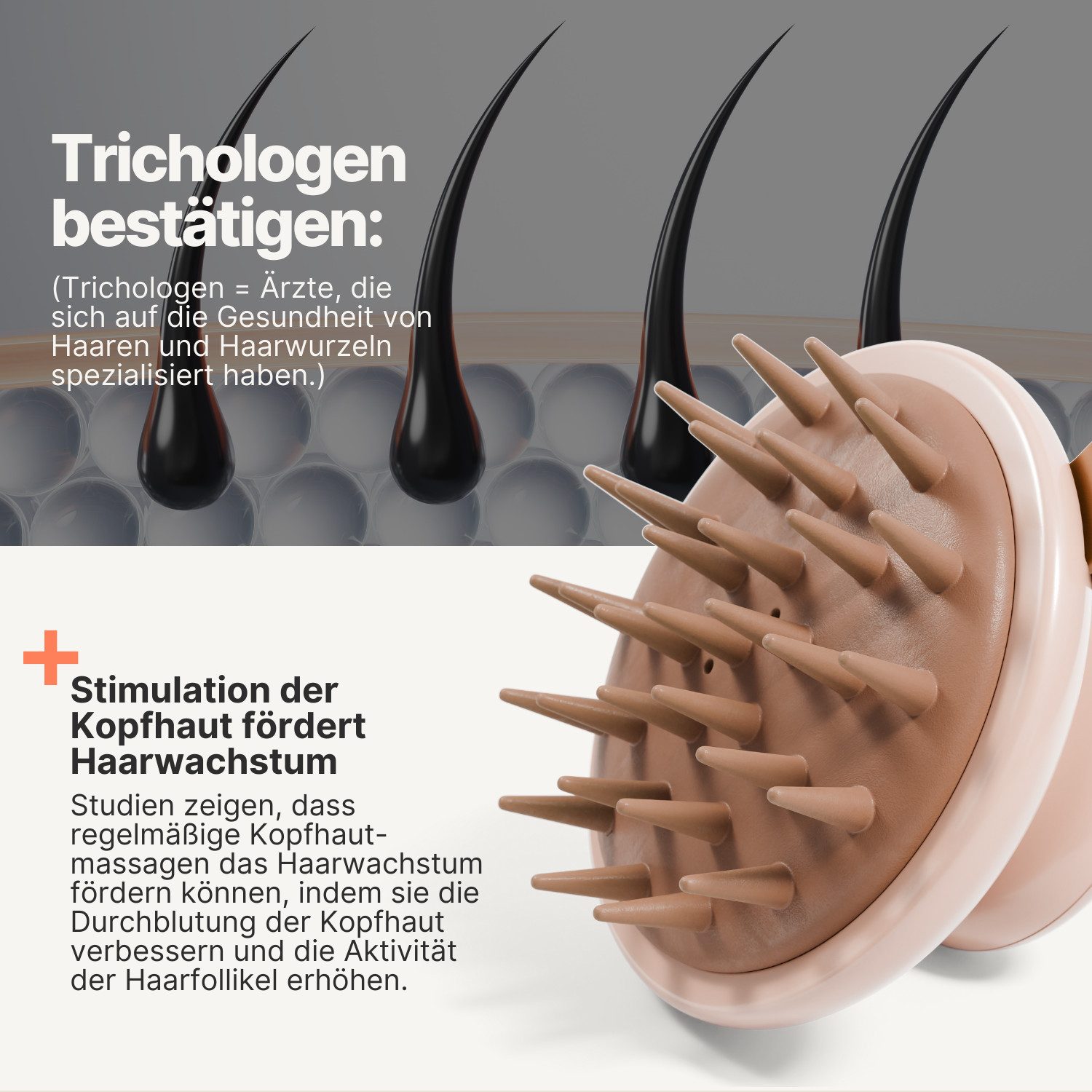 IMPERIO Haarbürste Shampoo-Massagebürste für Tiefenreinigung und mehr Haarwachstum