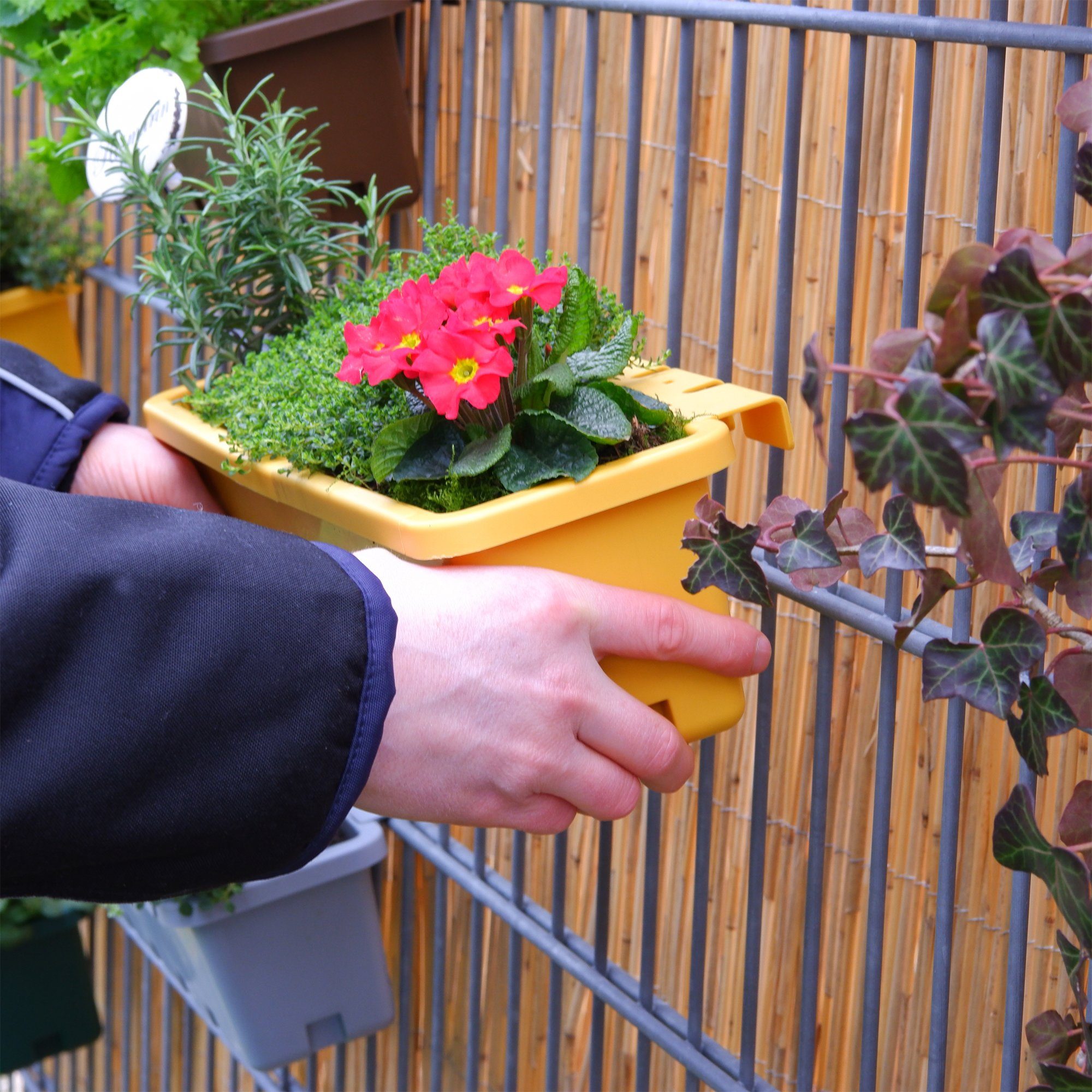 GreenLife Hochbeet / Kräuterbox 5 Stück, grün, komplett (5er Set), integrierter Zwischenboden