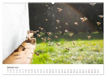 CALVENDO Wandkalender Bienen - Die fleißigen Tierchen die den Honig herstellen. (Premium, hochwertiger DIN A2 Wandkalender 2023, Kunstdruck in Hochglanz)