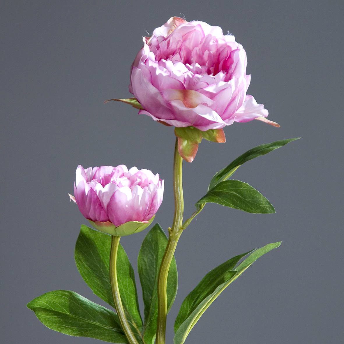 Kunstblume Pfingstrose mit 2 Blüten 60cm günstig online kaufen