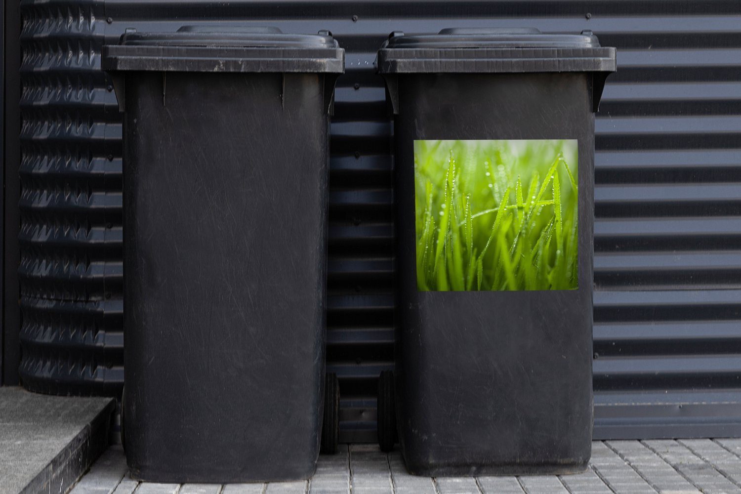 Container, Frühe Tautropfen Mülltonne, Mülleimer-aufkleber, MuchoWow St), auf Wandsticker Abfalbehälter Gras Sticker, (1