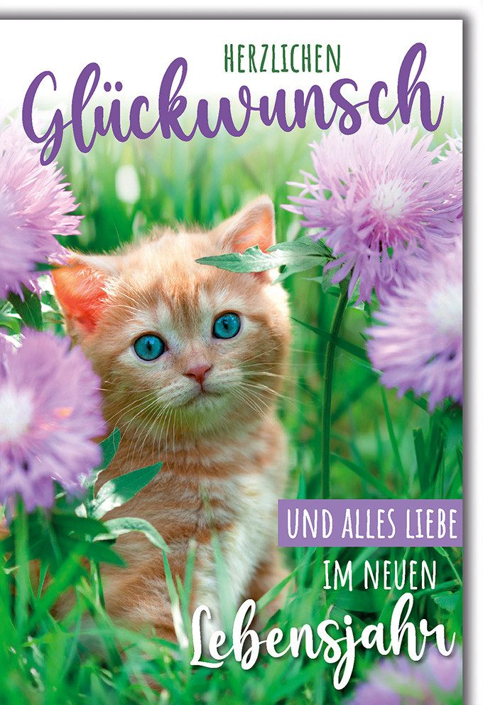 Verlag Dominique Grußkarten Geburtstag - Glückwunschkarte im Format 11,5 x 17 cm - Katze in lila B