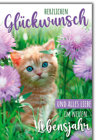 Verlag Dominique Grußkarten Geburtstag - Glückwunschkarte im Format 11,5 x 17 cm - Katze in lila B