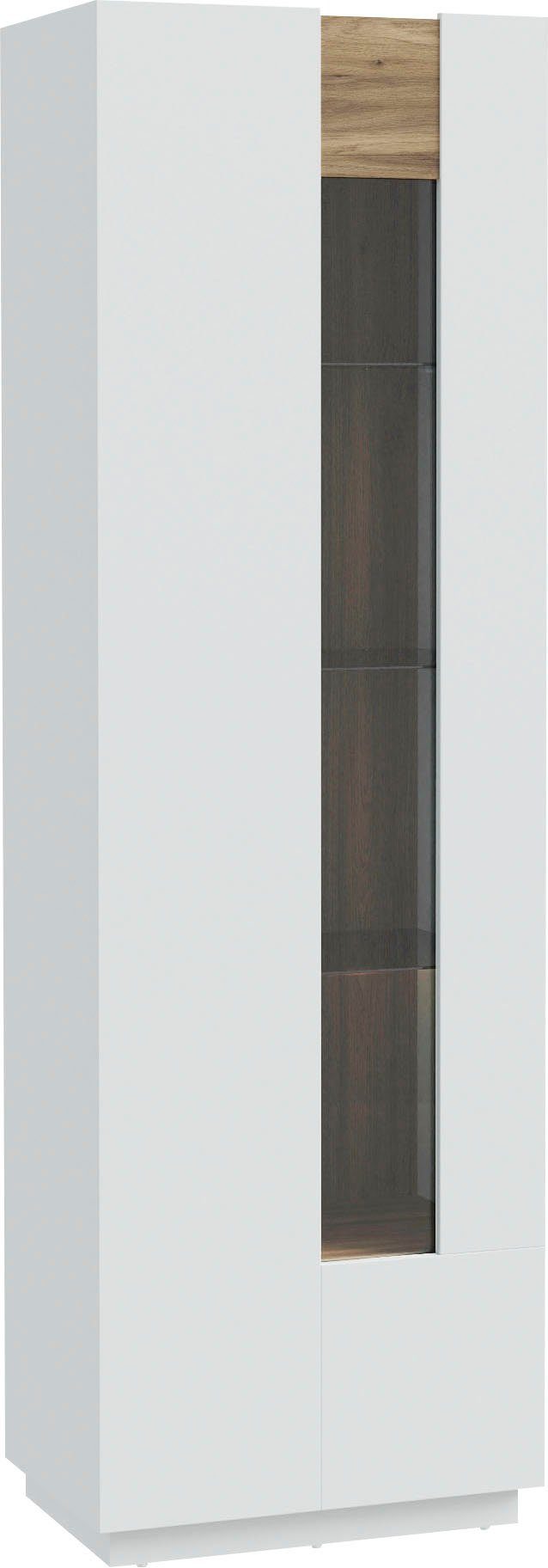 FORTE Vitrine Lewisville