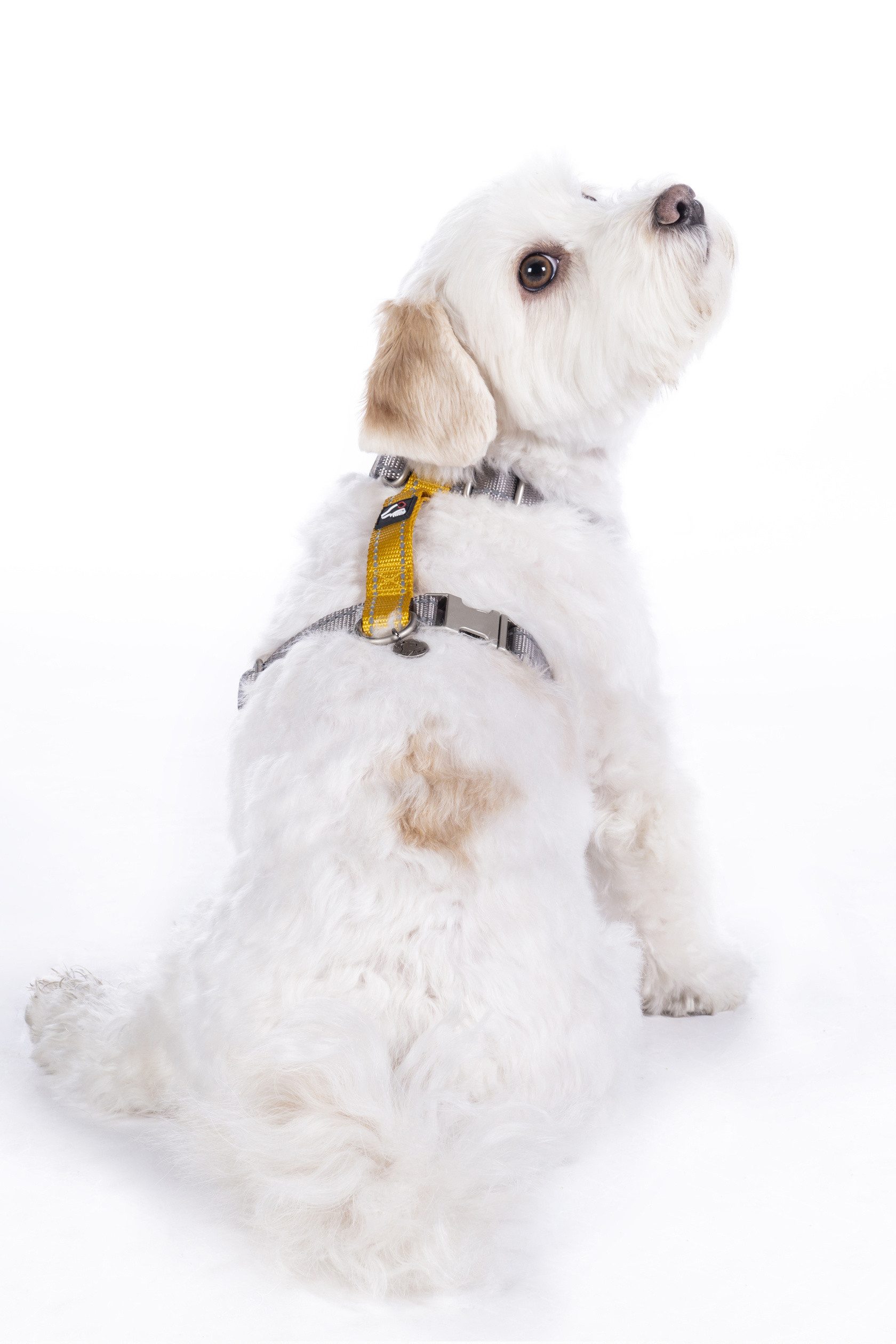 HKM Dogs Hunde-Geschirr Hundegeschirr -Anam Cara günstig online kaufen