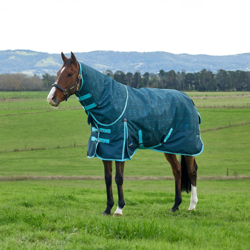 WeatherBeeta Paddockdecke Weatherbeeta Comfitec Limited Edition Turnout Detach-A-Neck 220g