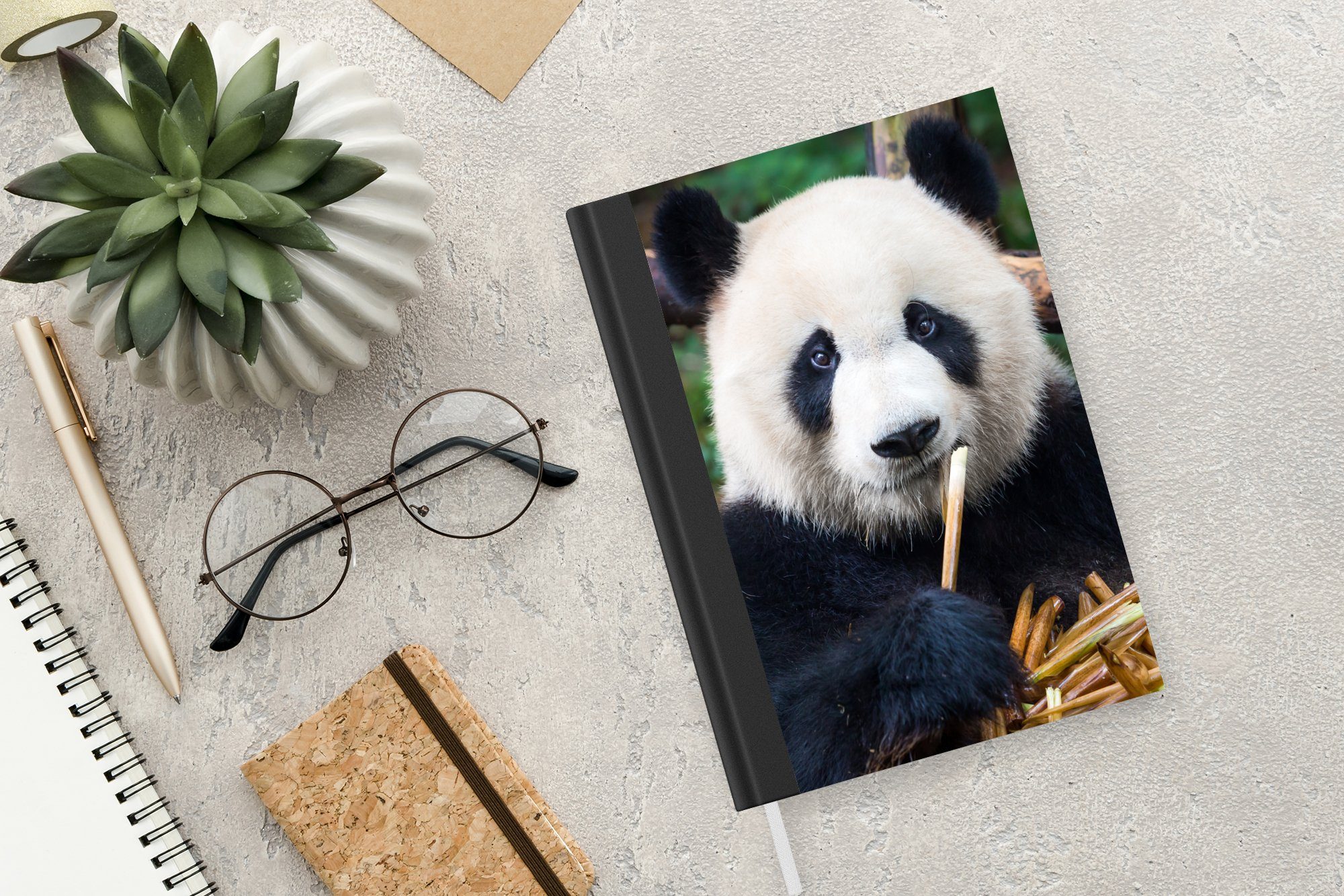 - 98 Natur, Panda Journal, A5, Tagebuch, - Notizbuch Haushaltsbuch Notizheft, Bambus Seiten, Merkzettel, MuchoWow