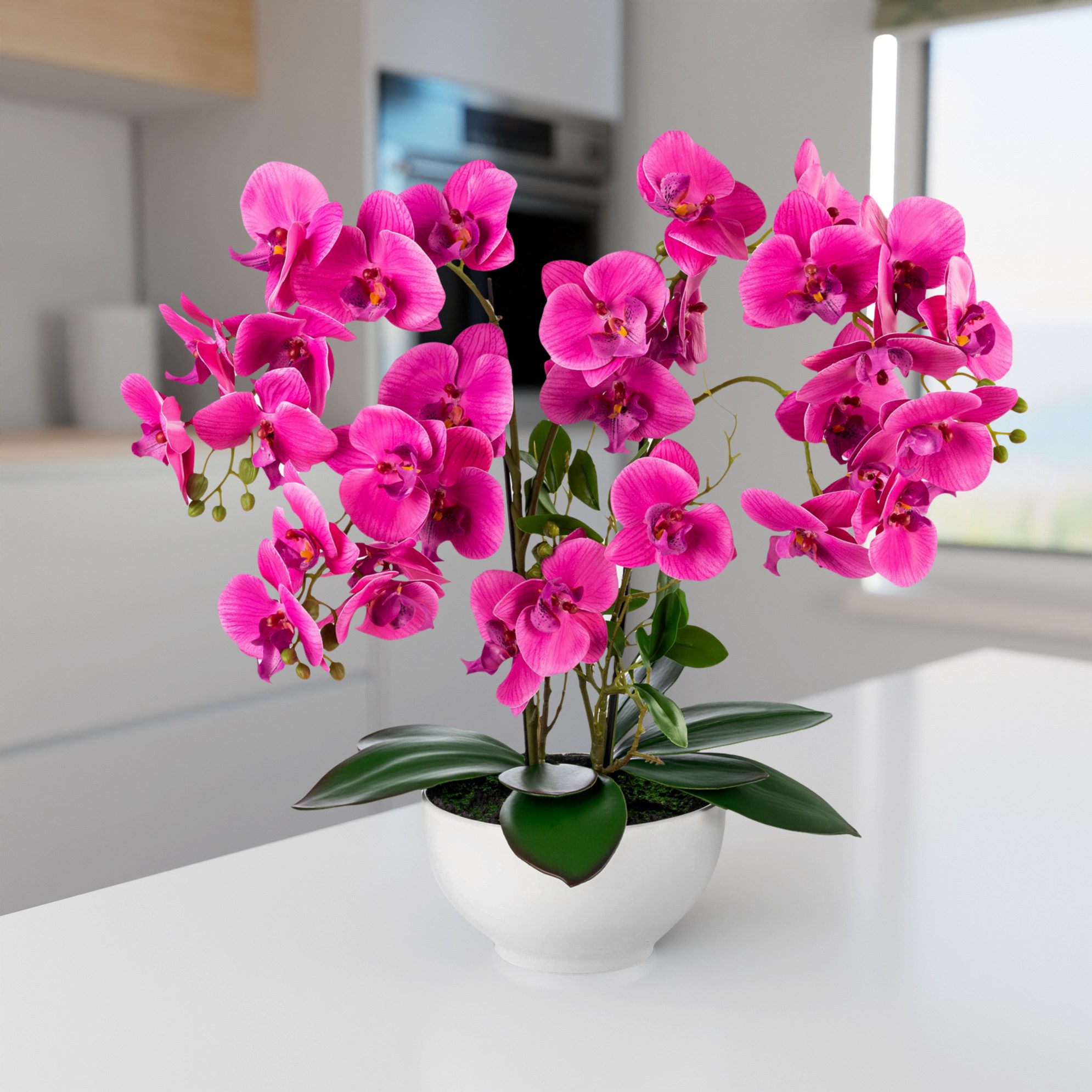 Kunstorchidee PASCH® XXL Orchidee künstlich wie echt (56cm) in Hochglanz-Keramiktopf Orchidee, PASCH