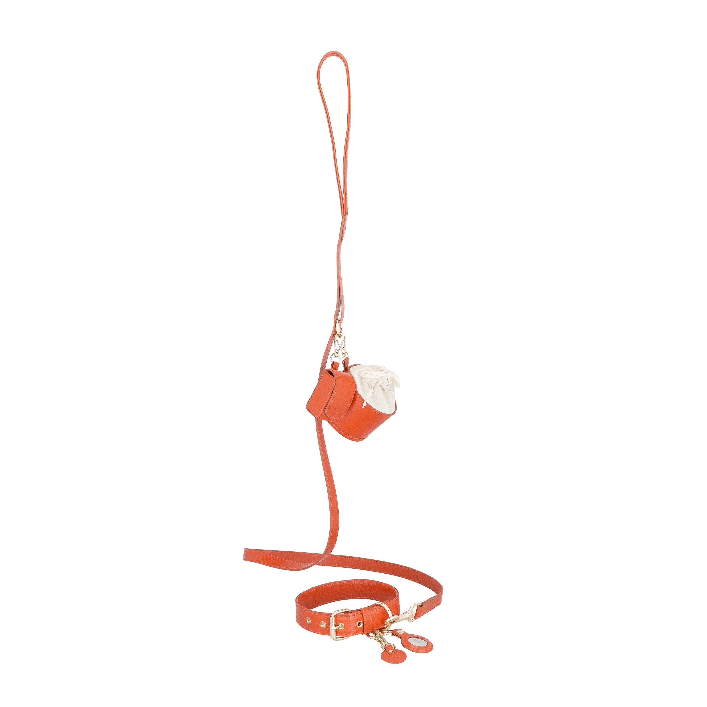 Belly´s Hunde-Halsband Hundehalsband Lederhalsband mit Goldener Metallschnalle