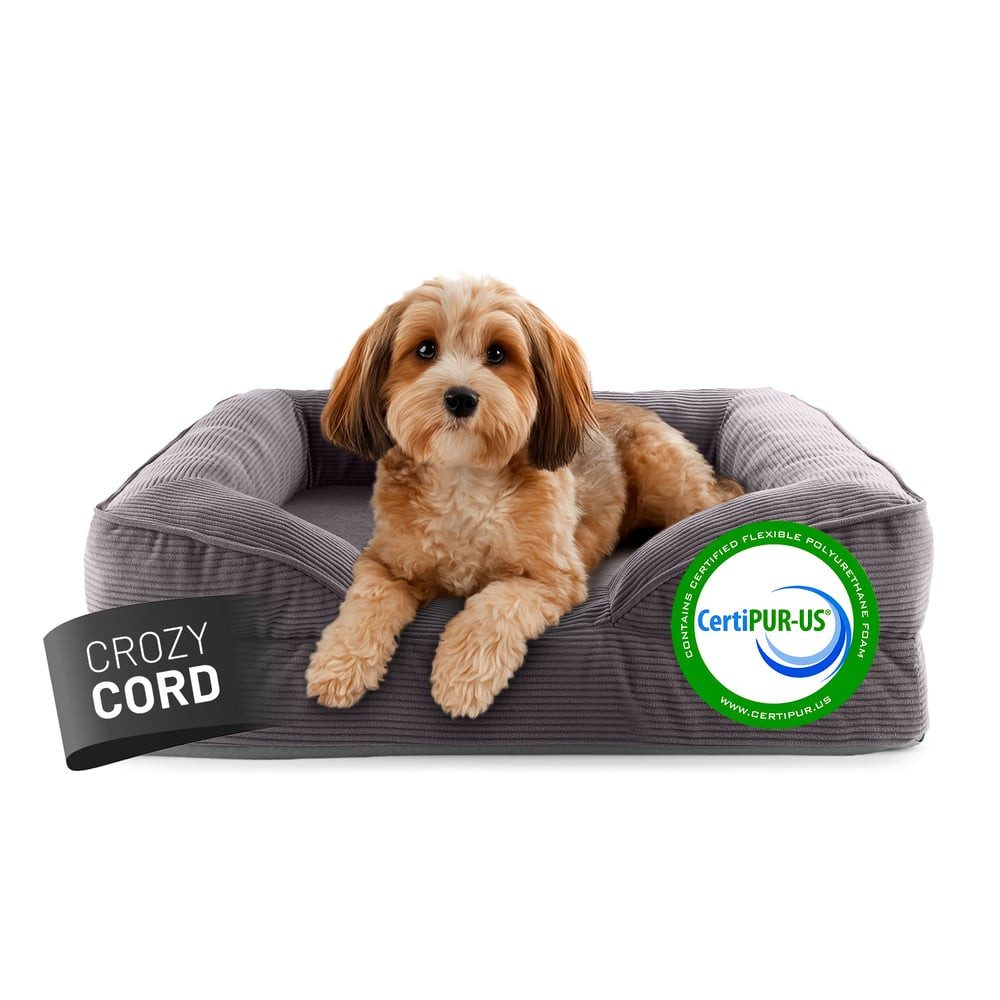 Lumaland Tierbett Hundebett Cord In-& Outdoor S 70x60x18cm grau vakuumiert, Hundesofa orthopädisch Hundekorb Tierbett wasserfest hoher Rand