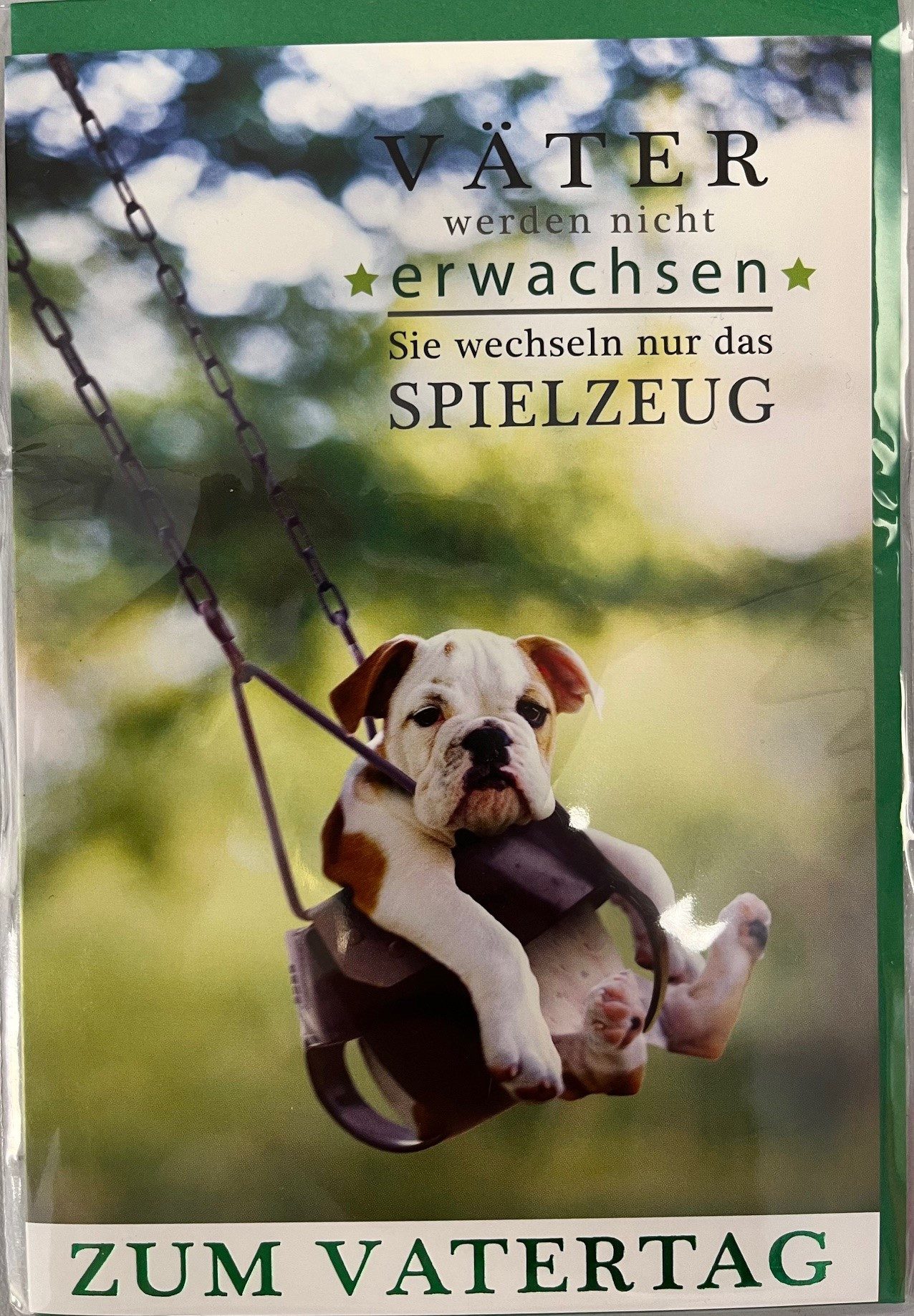 Verlag Dominique Grußkarten Vatertag - Karte mit Umschlag - Kaktus