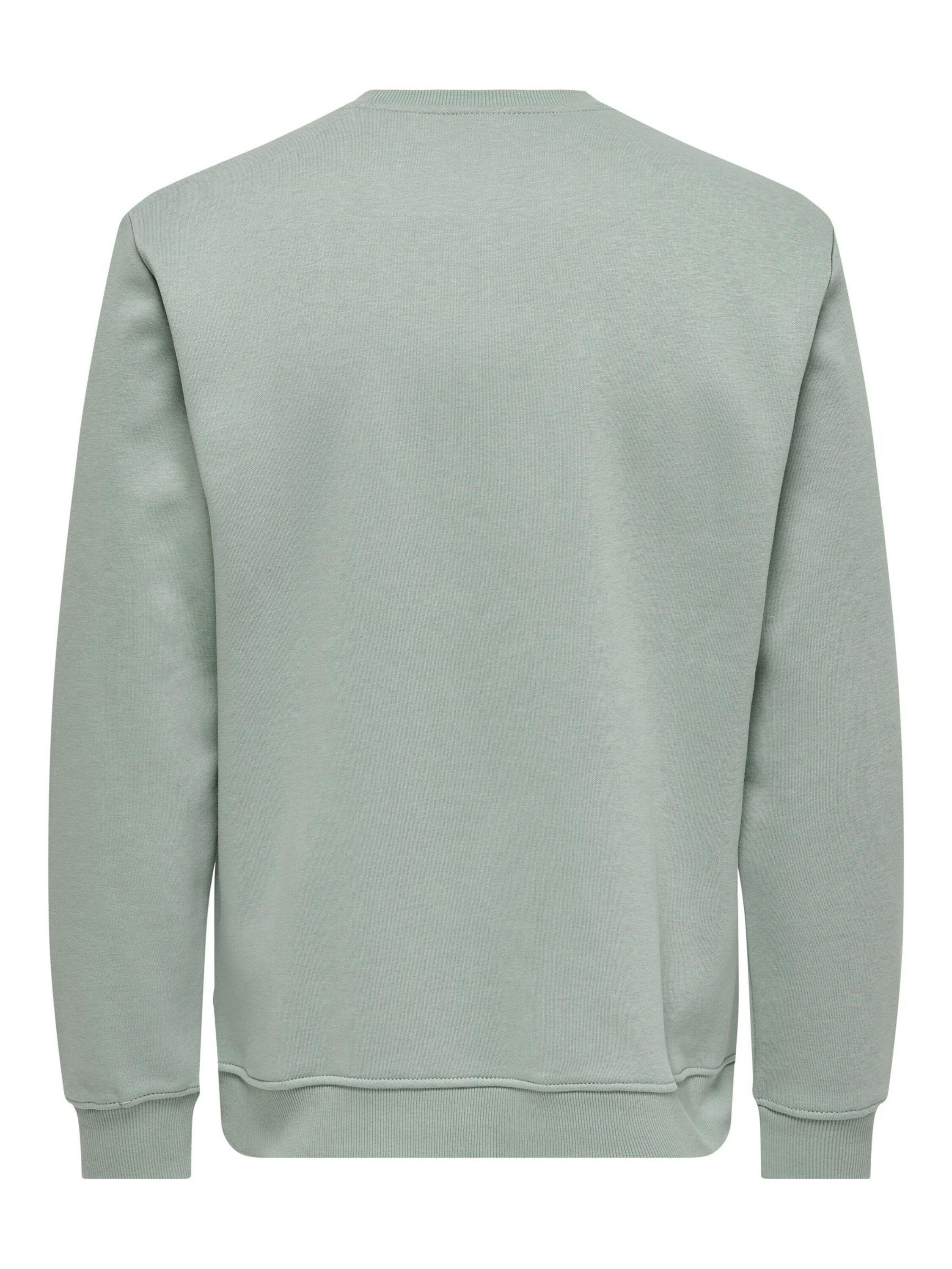 ONLY & SONS Sweatshirt ONSConnor (1-tlg) günstig online kaufen