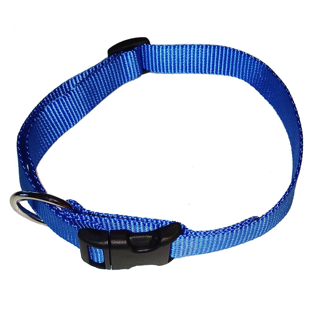 Activity4Dogs Hunde-Halsband große Hunde Nylon verstellbar 38-55 cm verschiedene Farben, mitwachsend