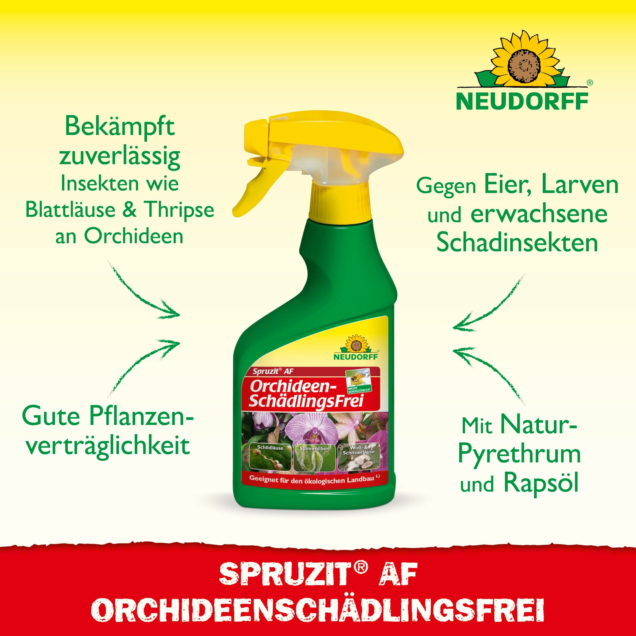 Neudorff Insektenspray Spruzit AF OrchideenSchädlingsFrei 250 ml, 0,25 l, Anwendungsfertiges Spary bekämpft Schädlinge wie Blattläuse, Thripse, Schild- & Wollläuse an Orchideen, Speziell für Orchideen entwickelt, mit Natur-Pyrethrum und Rapsöl