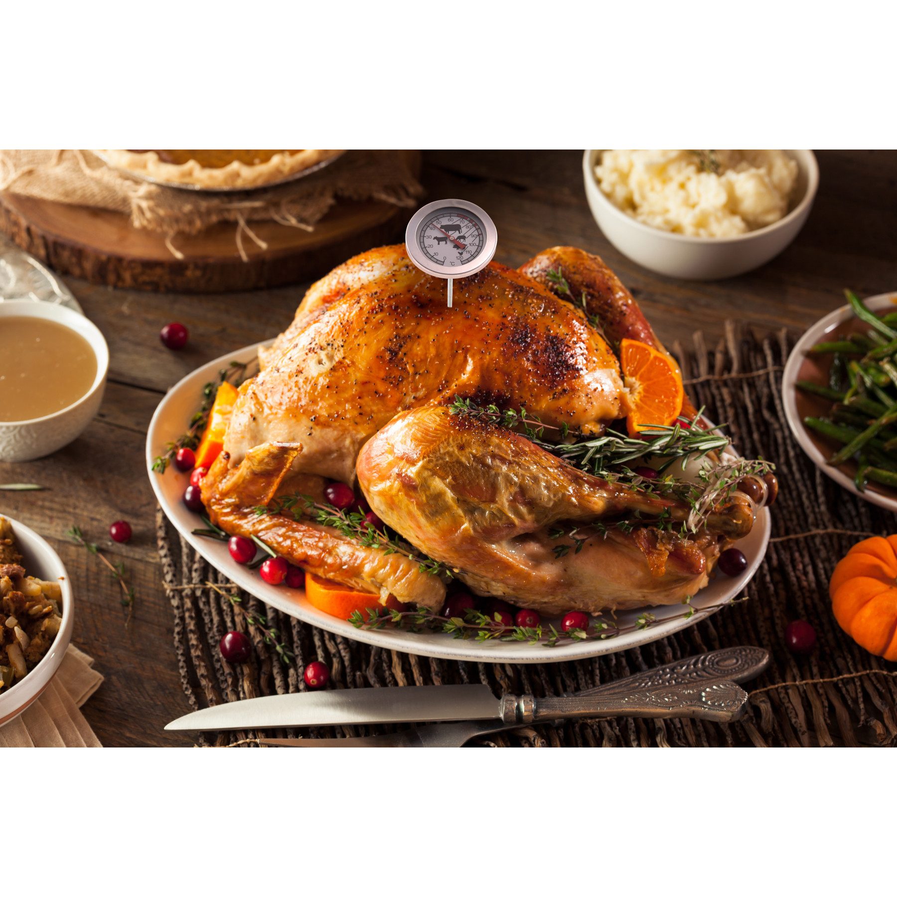 Alpina Bratenthermometer ALPINA, Einstichthermometer, analog