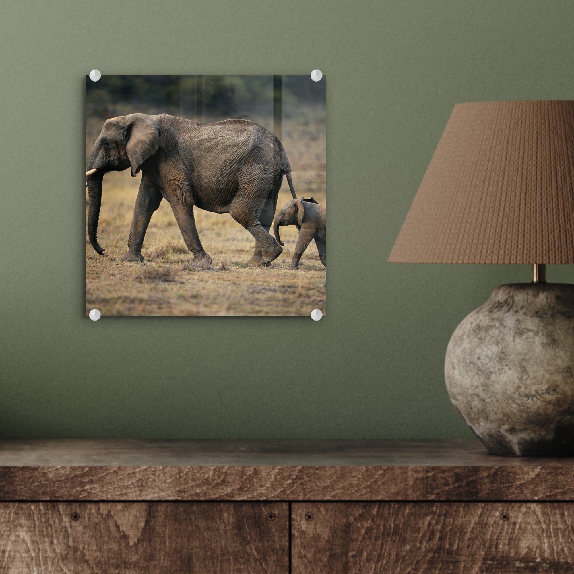Glas - Wandbild auf - Glas Natur, Glasbilder Savanne Foto Acrylglasbild St), Elefant (1 - - Bilder - Tiere auf - MuchoWow Wanddekoration
