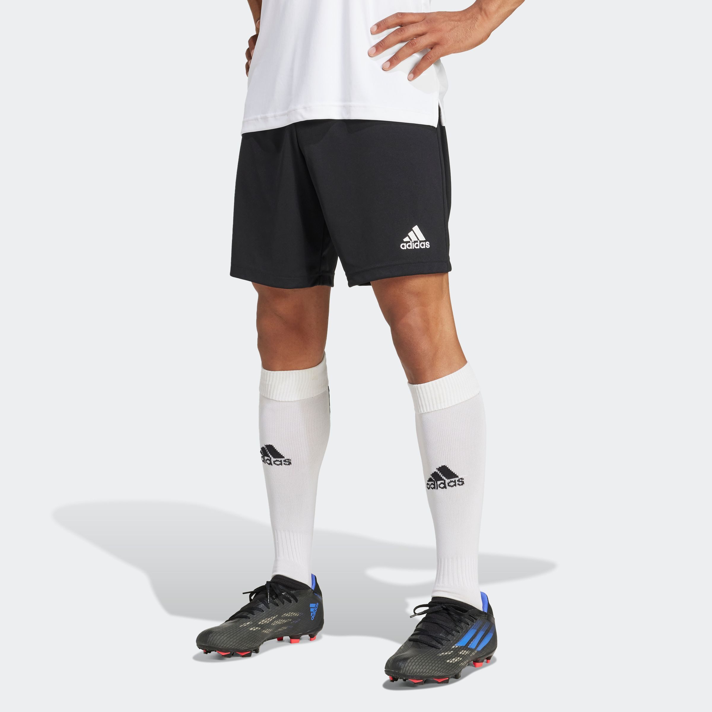 adidas Performance Trainingsshorts ENT22 SHO (1-tlg) günstig online kaufen