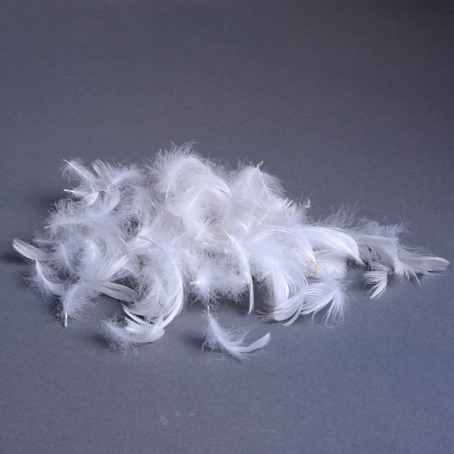 Deko AS Bastelfedern Babyfedern - Flaumfedern - weiß - 1 VE = 1 Box m. 5 g günstig online kaufen