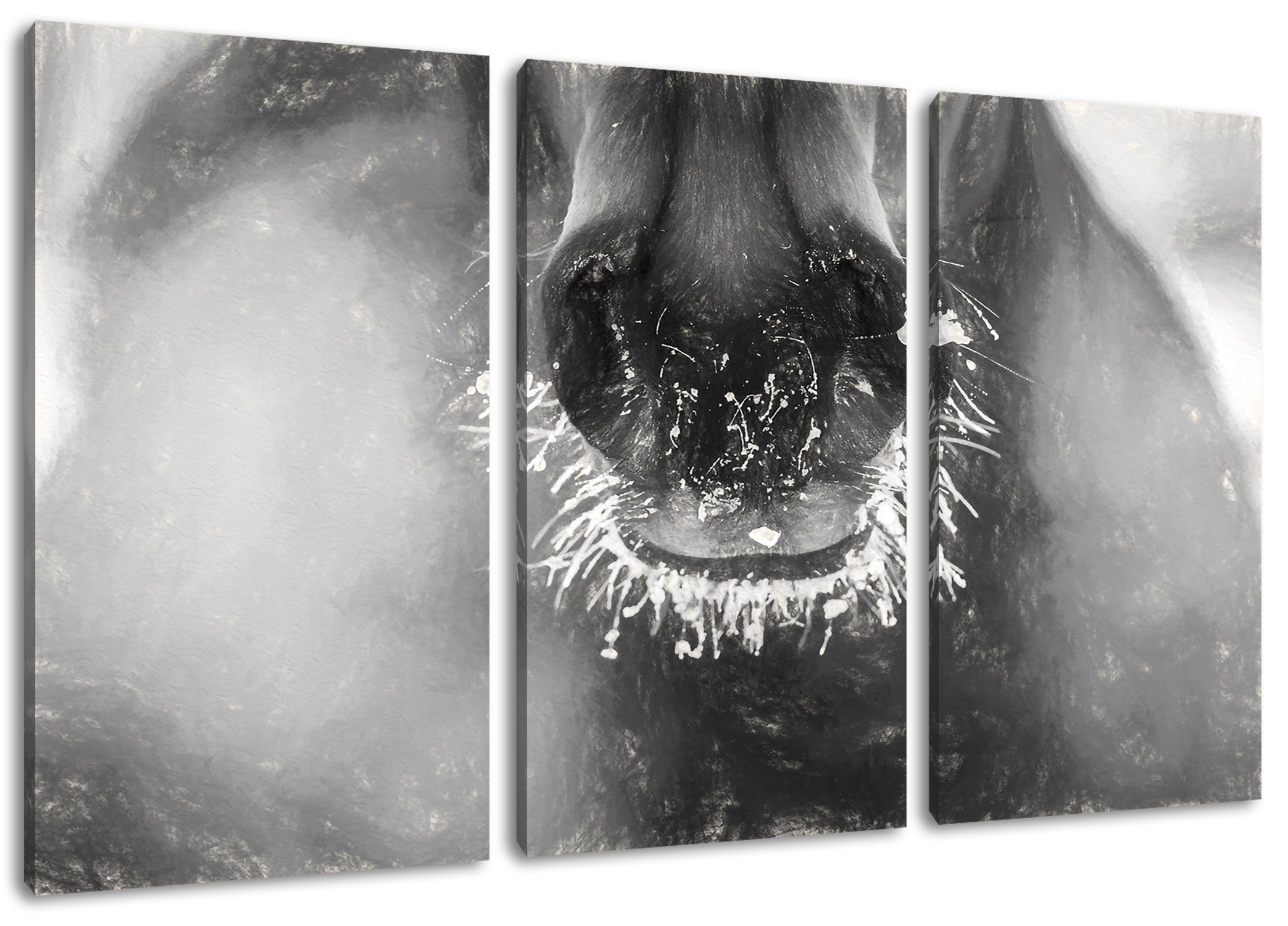 Pixxprint Leinwandbild Pferdeschnauze, Pferdeschnauze 3Teiler (120x80cm) (1 St), Leinwandbild fertig bespannt, inkl. Zackenaufhänger | Leinwandbilder