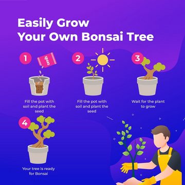 Kunstbonsai Samen-Set mit 8 verschiedenen Bonsai-Bäumchen, Grow Buddha