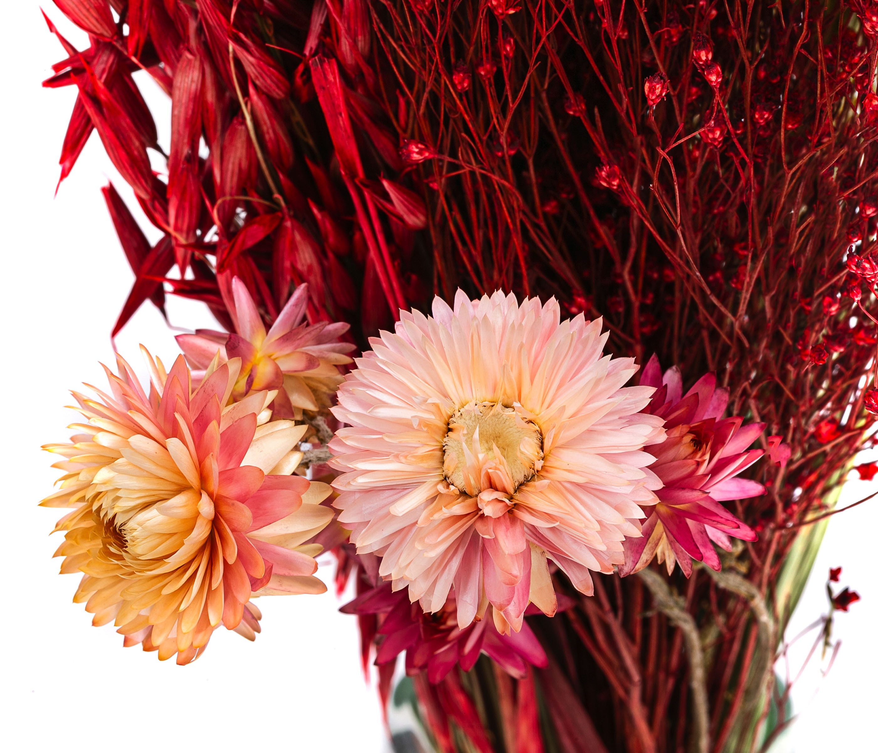 Trockenblume Blumenstrauß Trendy aus Gräsern und Blumen, Länge 40 cm, rosa Keine Angabe, Dehner, handgefertigtes, farblich abgestimmtes Bouquet, auch für DIY-Projekte