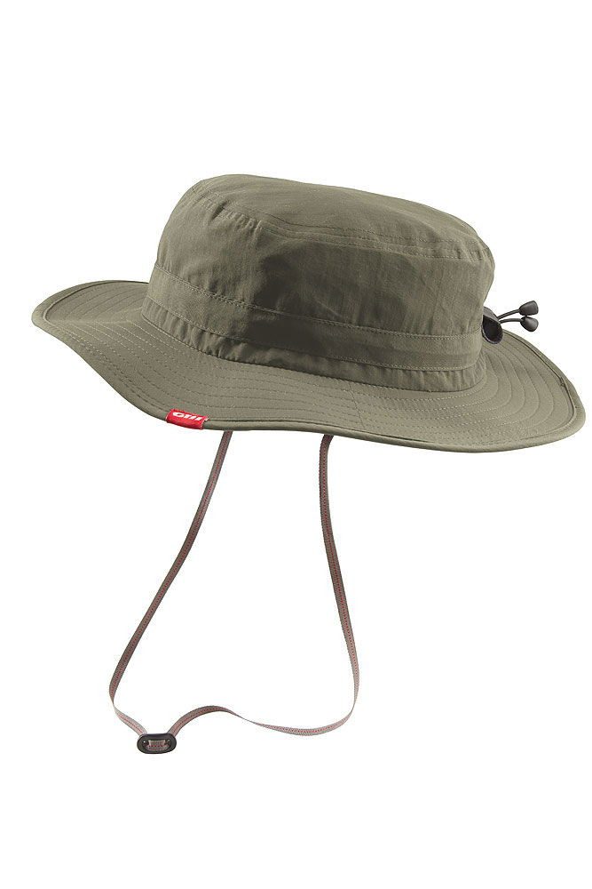 Gill Sonnenhut