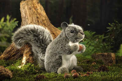 Kösen Kuscheltier Amerikanisches Eichhörnchen 18 cm grau