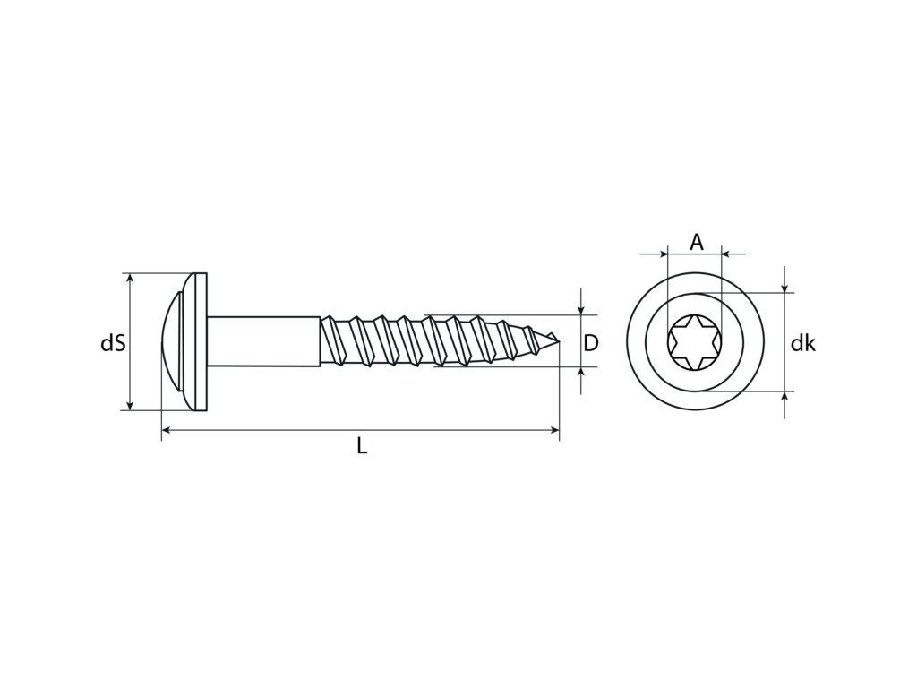 PROFI Spanplattenschraube Spenglerschrauben TX Linsensenkkopf, Edelstahl A2