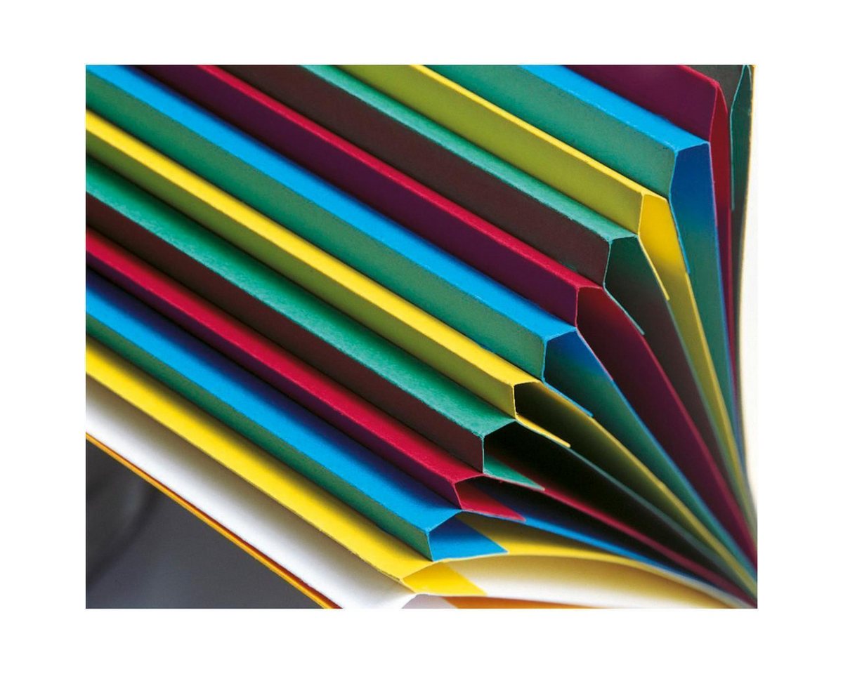 Thumbnail - EXACOMPTA Fächermappe EXACOMPTA 55122E Ordnungsmappe DIN A4 Karton 12 Fächer blau